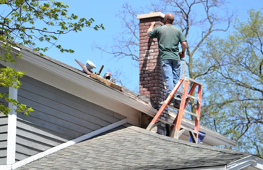 Chimney & Fireplace Inspections Services in Austintown, OH